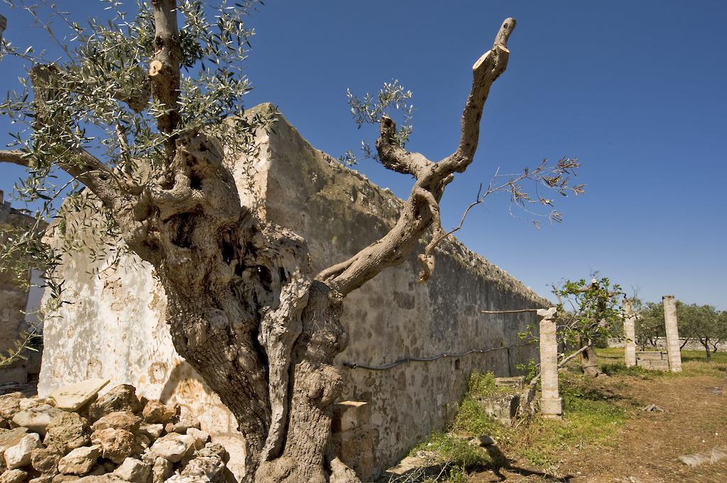 Masseria Spina Resort Monopoli Room photo